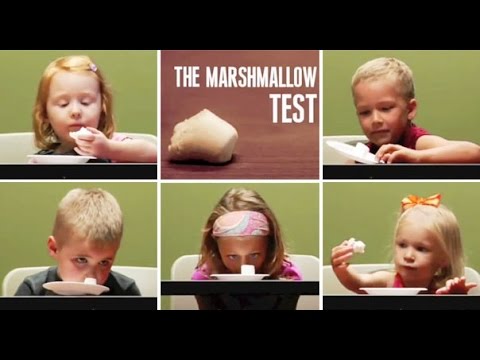 Marshmallow Testi